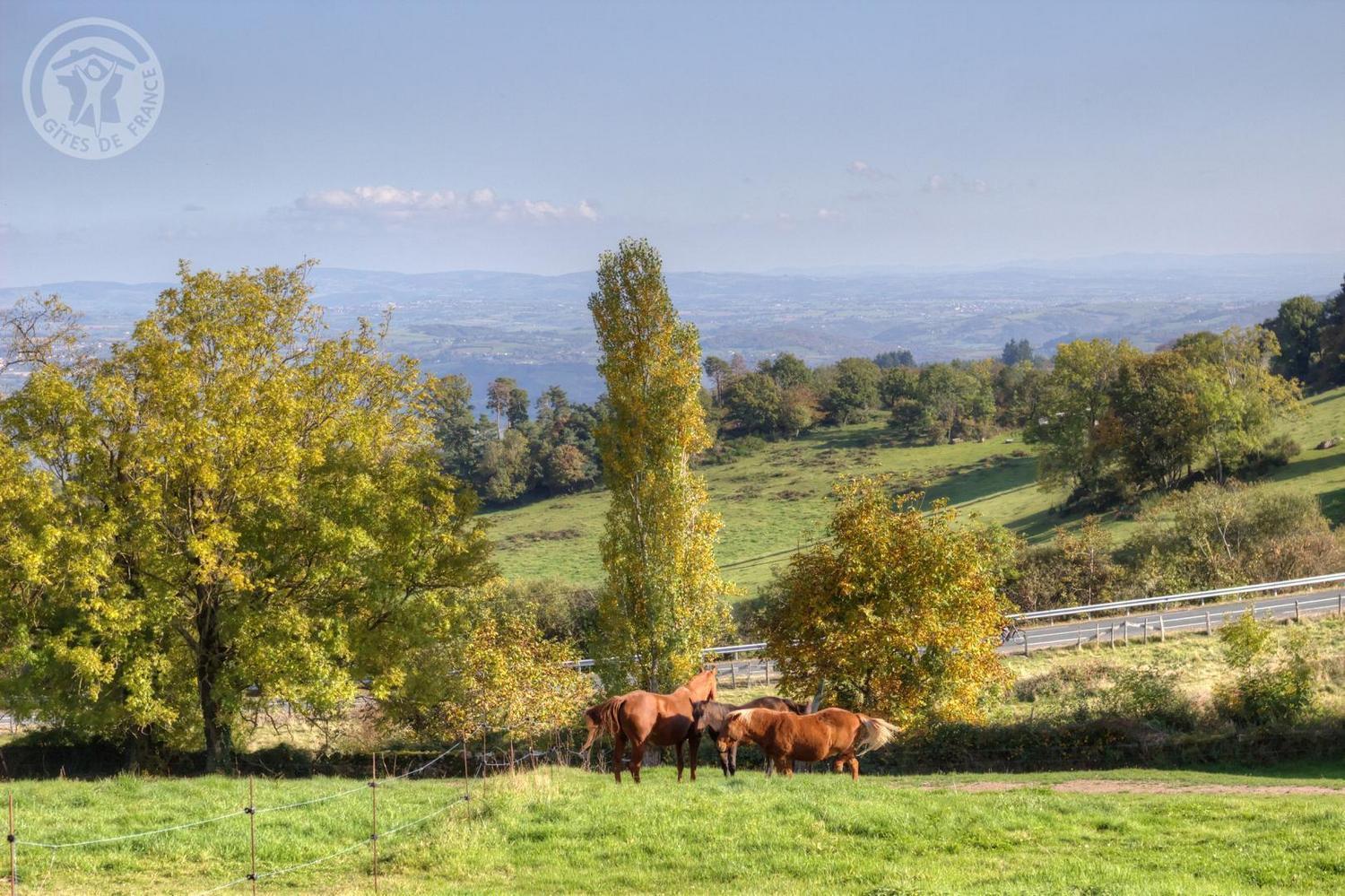 Bed and Breakfast La Ferme Des Galoches Villemontais Esterno foto